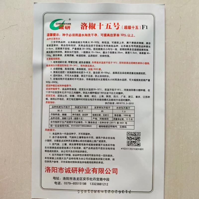 香辣薄皮大果洛椒十五号薄皱皮辣椒种子长灯笼形薄皮椒种子