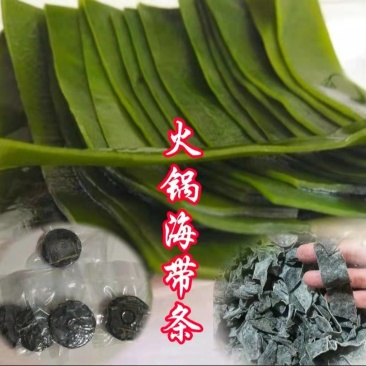 压缩海带条火锅海带条海带条打海带结条压缩海带片免洗海带片