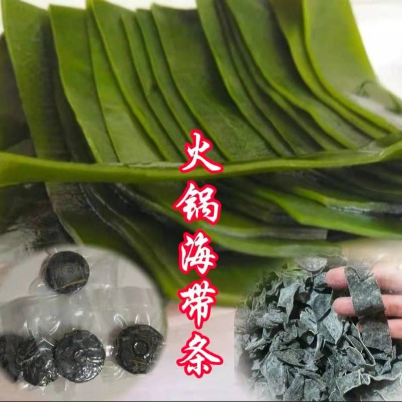 压缩海带条火锅海带条海带条打海带结条压缩海带片免洗海带片