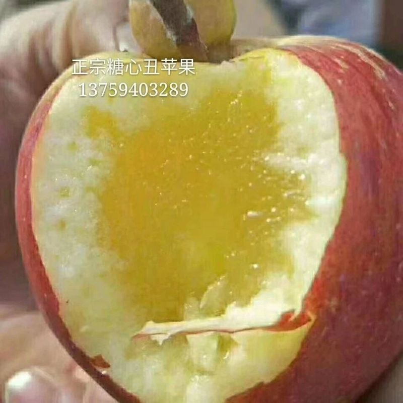 红富士苹果