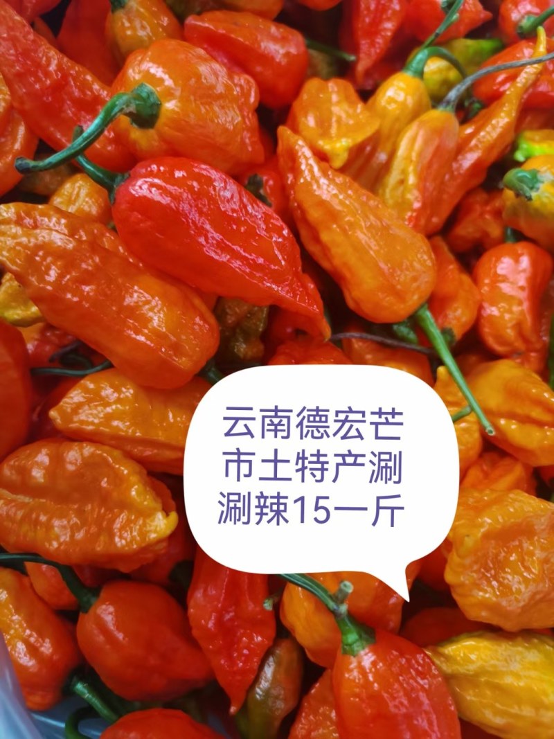 云南特产涮涮辣