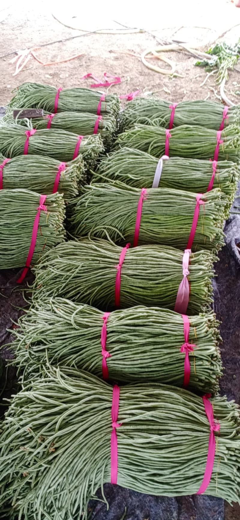 精品，大棚豆角大量上市欢迎采购