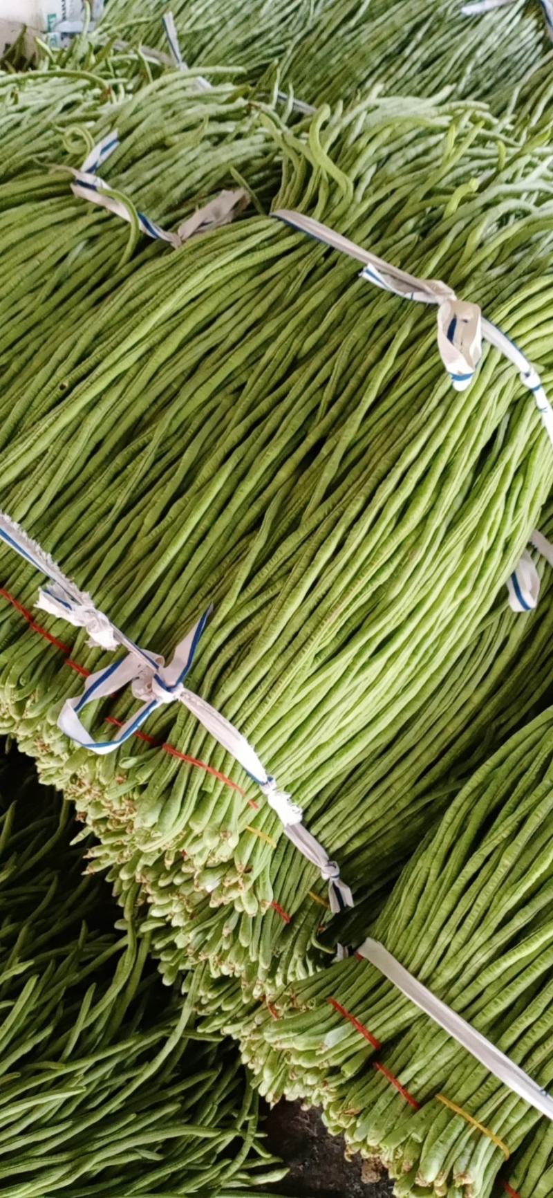 精品，大棚豆角大量上市欢迎采购