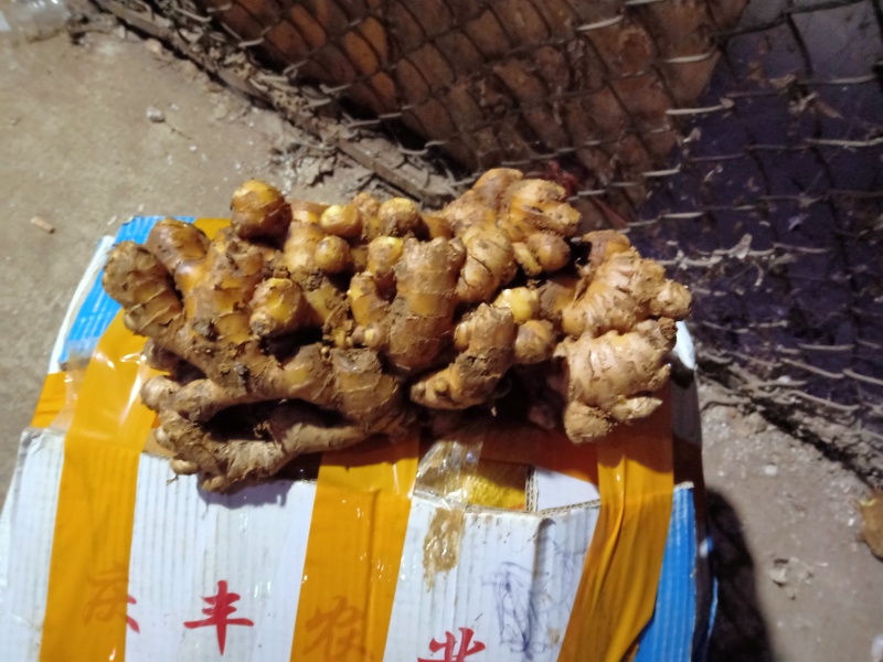 生姜