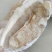蜜柚大量有货，需要的可以联系我