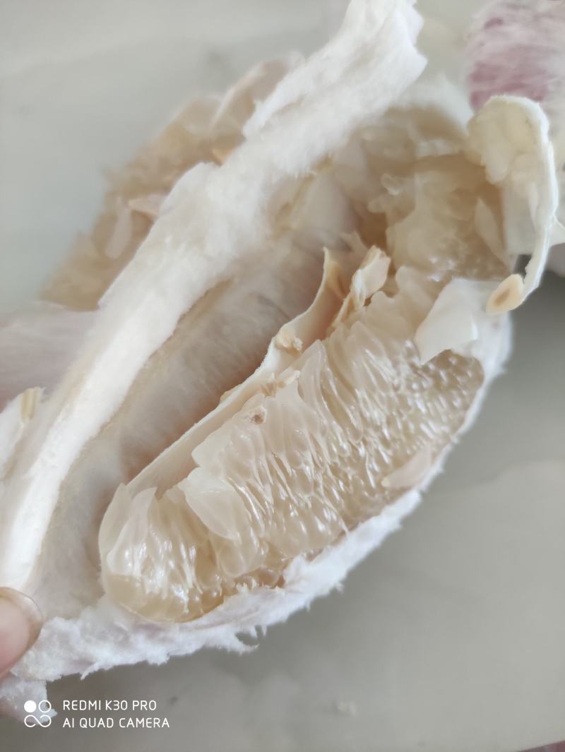 蜜柚大量有货，需要的可以联系我