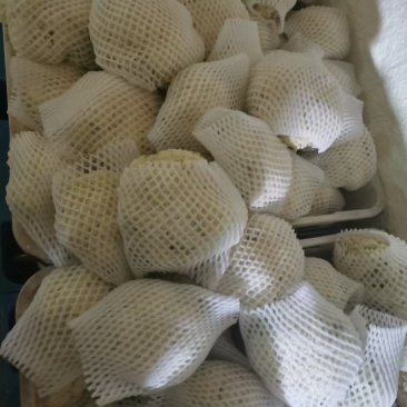 精品散花大量有货需要的联系价格便宜