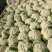 精品散花大量有货需要的联系价格便宜
