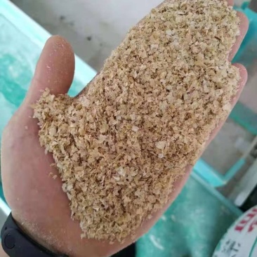 大片优质麸皮，各大厂商都有
