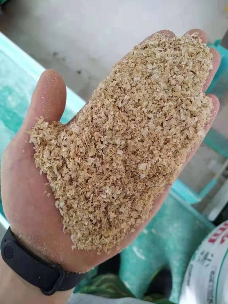 大片优质麸皮，各大厂商都有