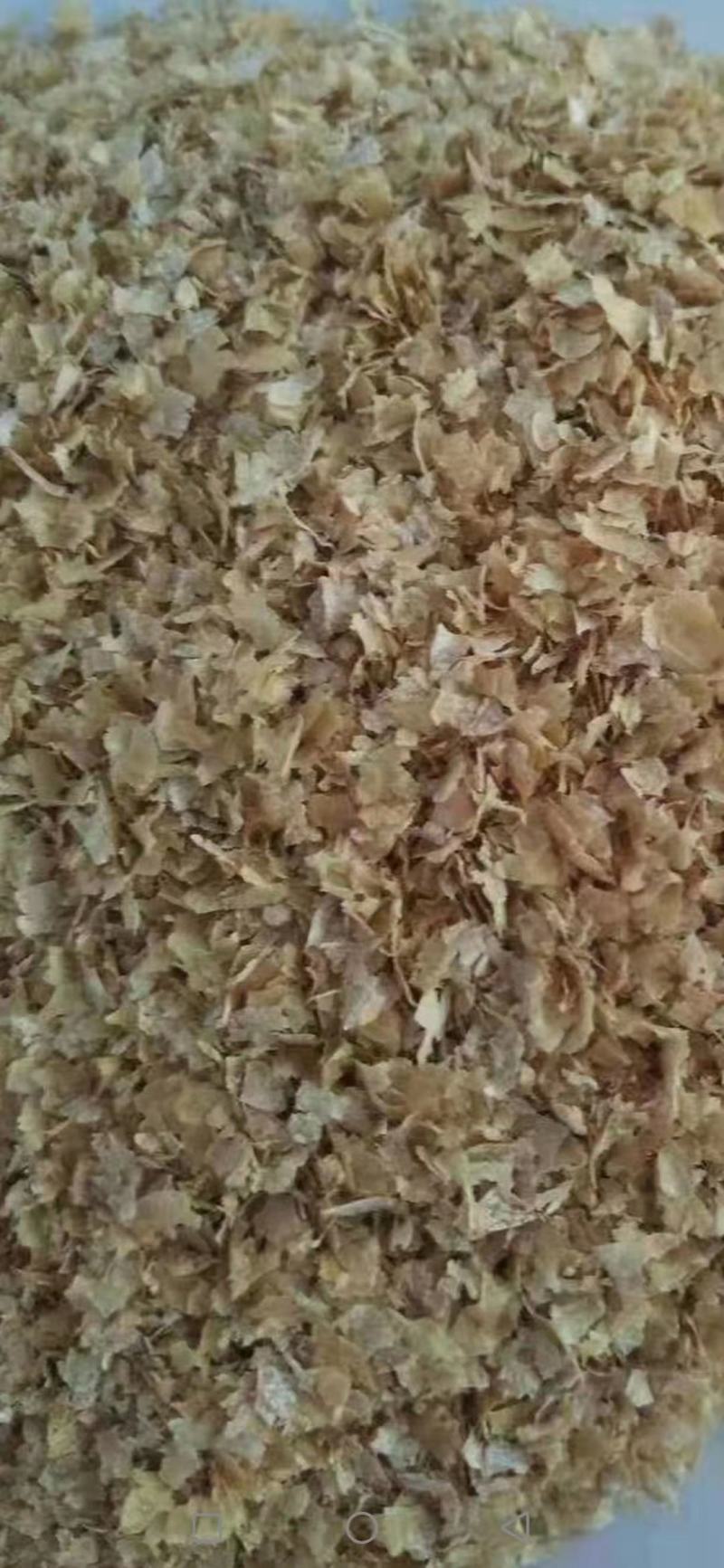 大片优质麸皮，各大厂商都有