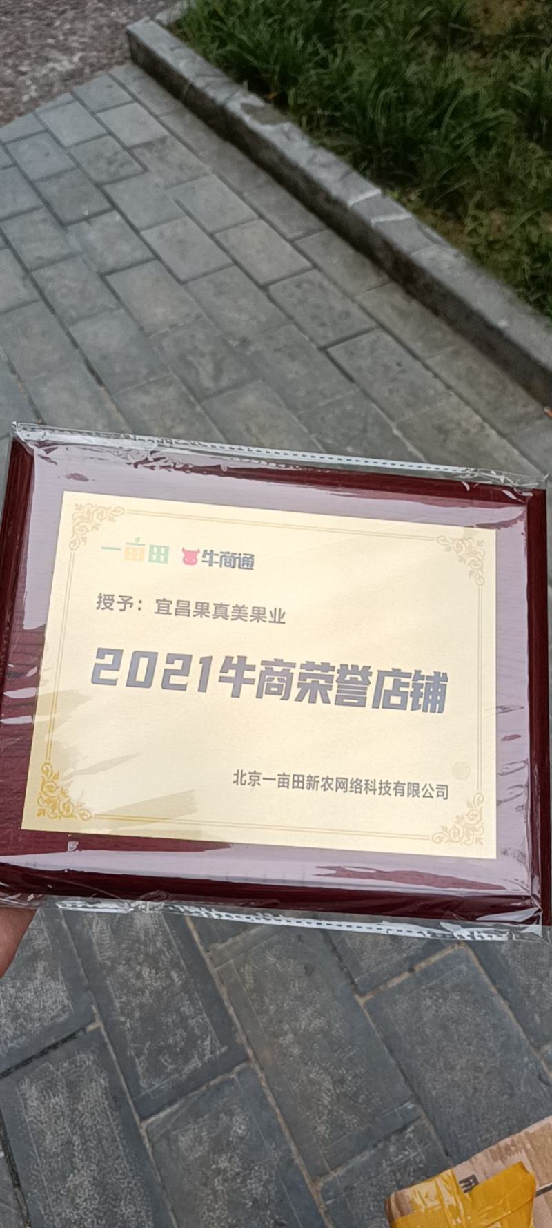湖北宜昌特早熟蜜橘大量供货中诚信经营保质保量现摘现发