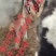 奶牛牛犊，肉牛，西门塔尔牛，小公牛，小母牛。