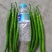 【推荐】大荔二荆条辣椒，线椒，全国供应，可视频看货