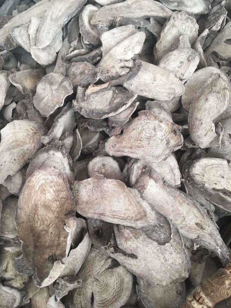 紫茉莉根【包邮】三斤起发货可批量可零售量大从优
