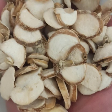 贝母贝母片中药材批发贝母产地直销质量保证
