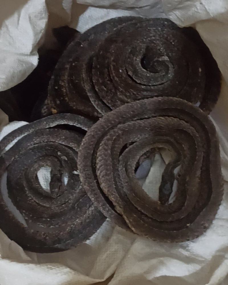 乌蛇乌梢蛇水蛇中药材批发乌梢蛇量大从优