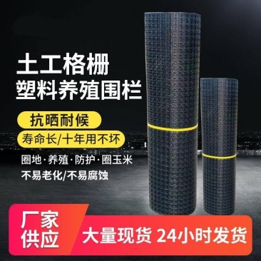 双向塑料土工格栅圈玉米网养殖防护隔离网黑色塑料胶网