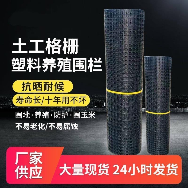双向塑料土工格栅圈玉米网养殖防护隔离网黑色塑料胶网
