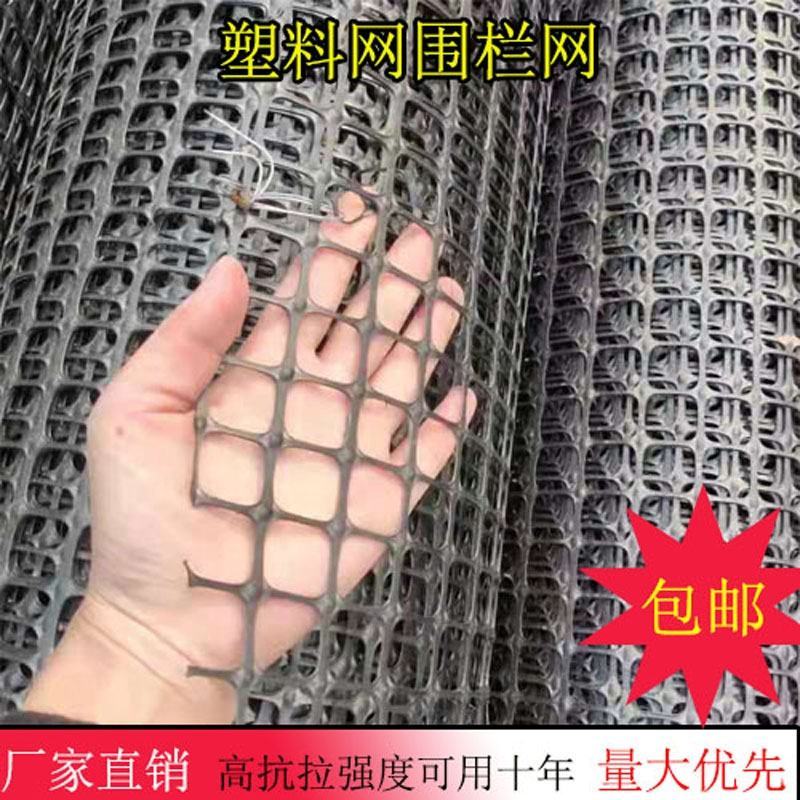 双向塑料土工格栅圈玉米网养殖防护隔离网黑色塑料胶网