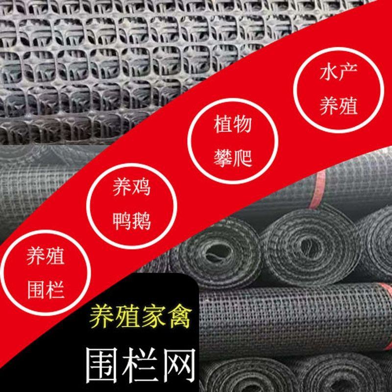双向塑料土工格栅圈玉米网养殖防护隔离网黑色塑料胶网