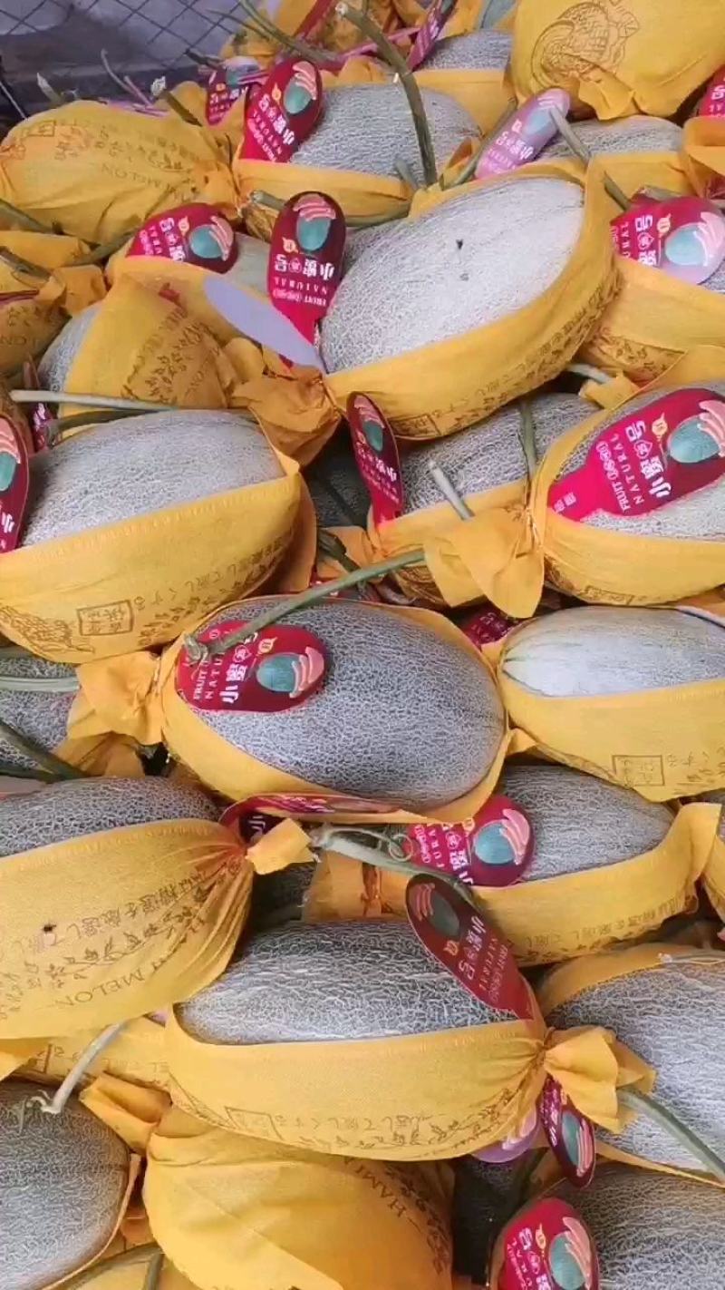 哈密瓜（晓蜜25）精品，电商，产地直发全国各地