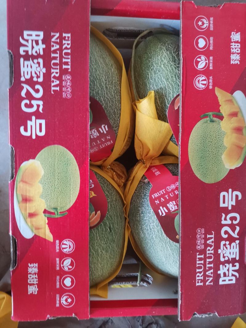 哈密瓜（晓蜜25）精品，电商，产地直发全国各地