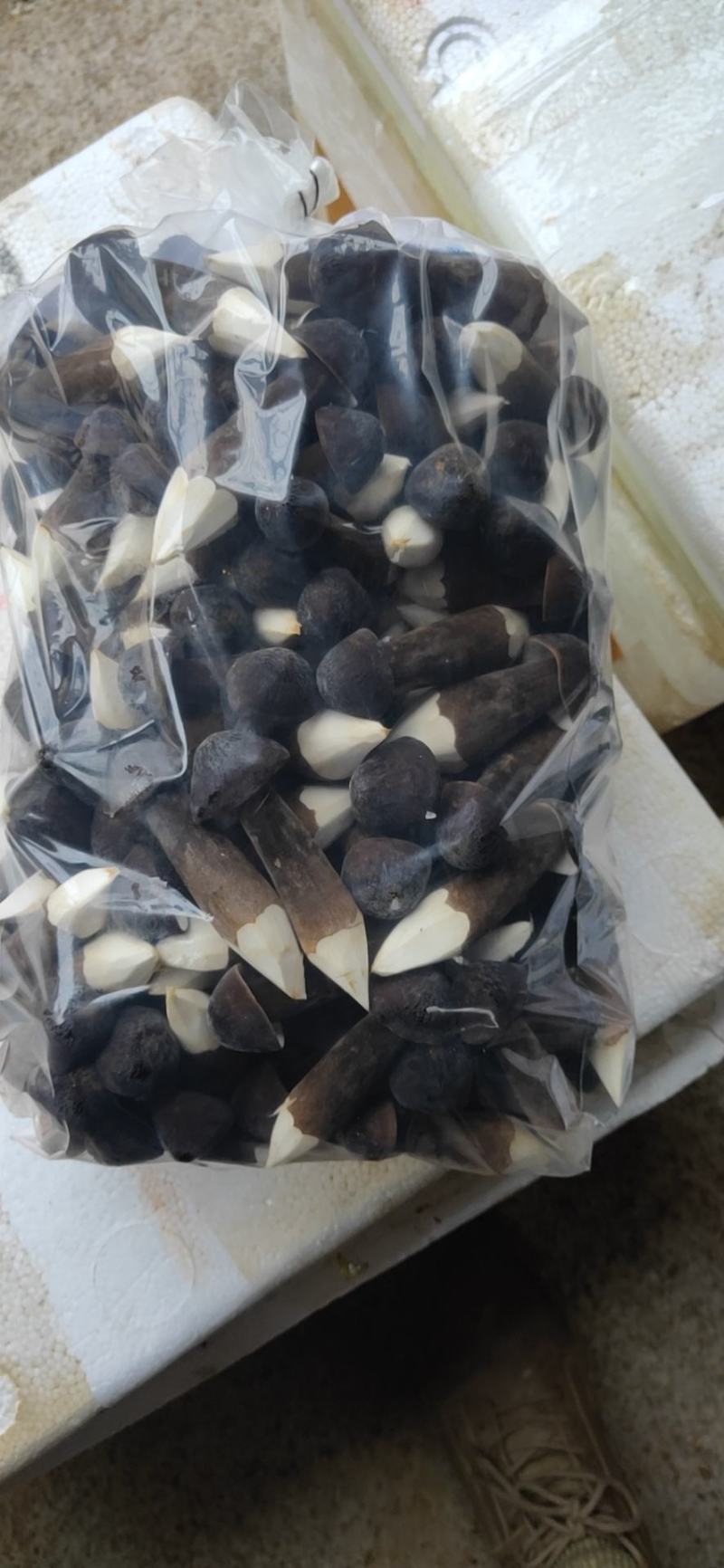 黑皮鸡枞