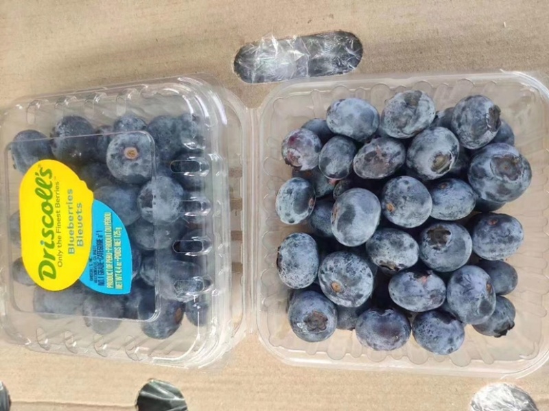 怡颗莓莓秘鲁原装进口新鲜精品蓝莓品质好有保障