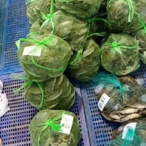 固城湖大闸蟹