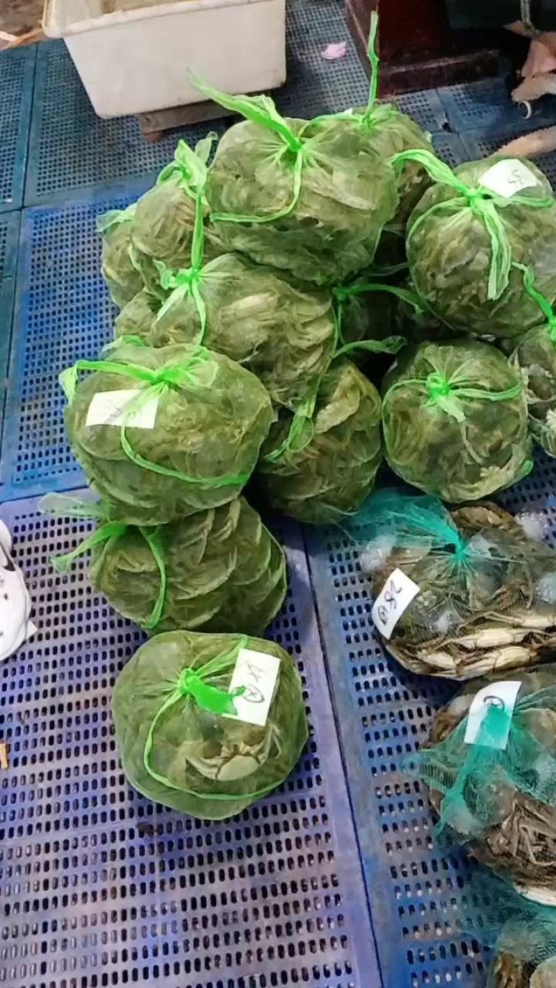 固城湖大闸蟹