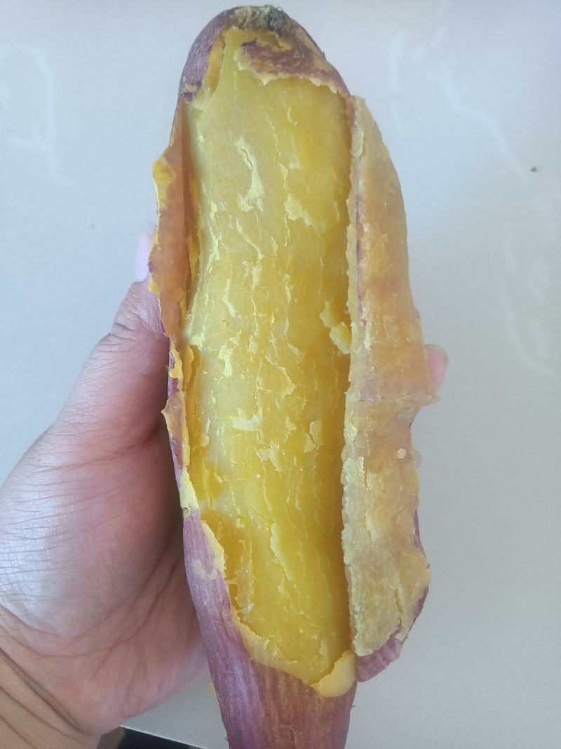 大量批发河北济薯26地瓜，烟薯25，保面保甜，保质保量