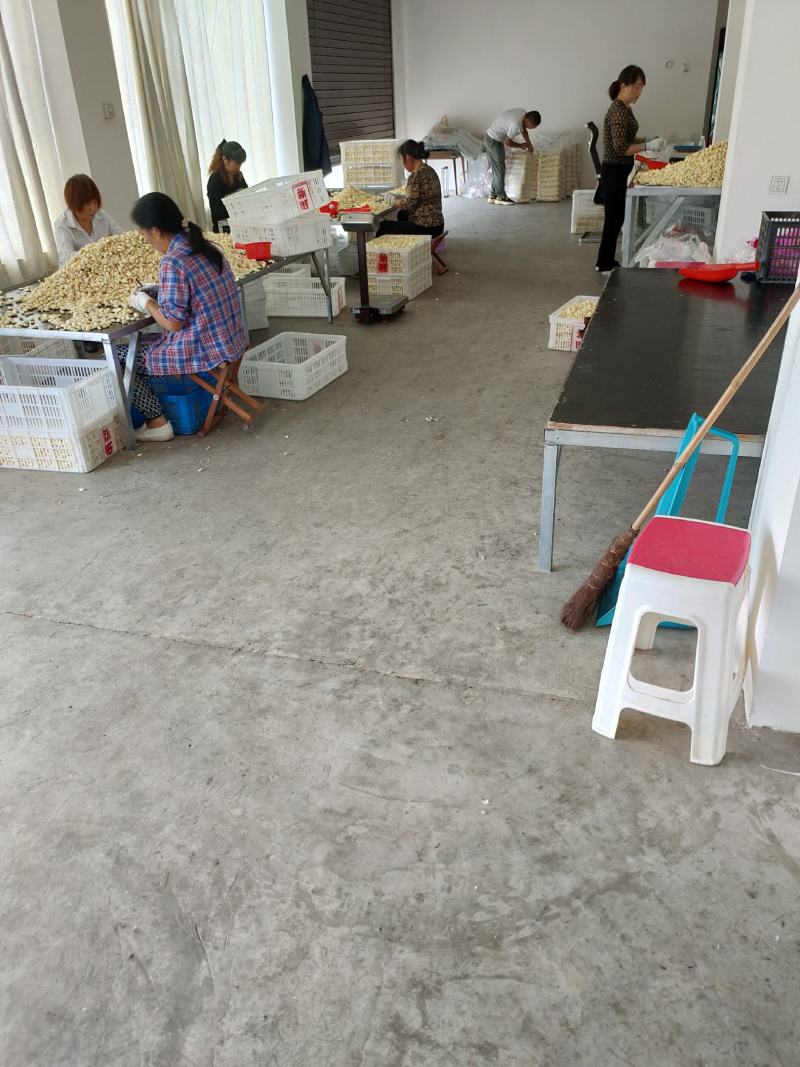 优质蒜米全国发货保证质量欢迎全国各地客商采购，，