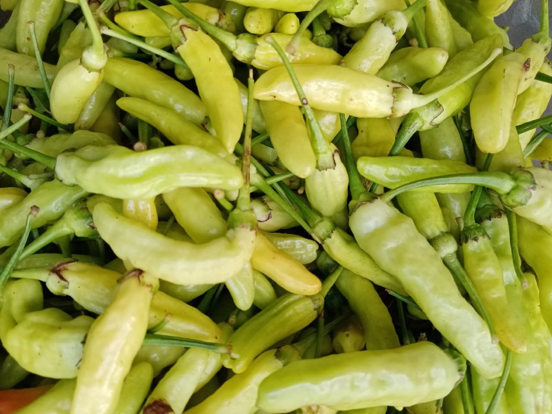 小米辣