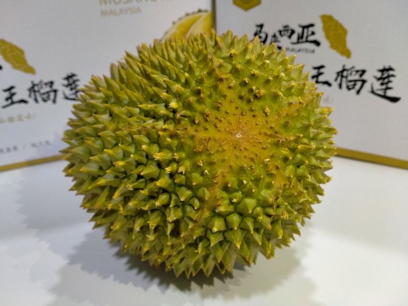 特惠（一件代发）D197马来西亚猫山王榴莲电商对接