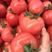 山东费县硬粉西红柿可供各大电商平台，市场超市