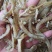 黄金凤尾鱼！宽条细条油炸做麻辣鱼食材可视频看货产地直发