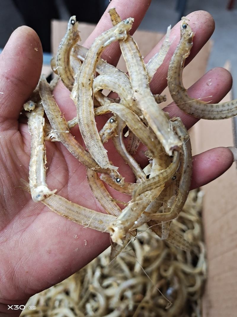 黄金凤尾鱼！宽条细条油炸做麻辣鱼食材可视频看货产地直发
