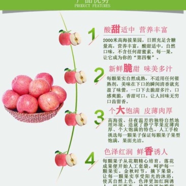甘肃平凉红富士苹果