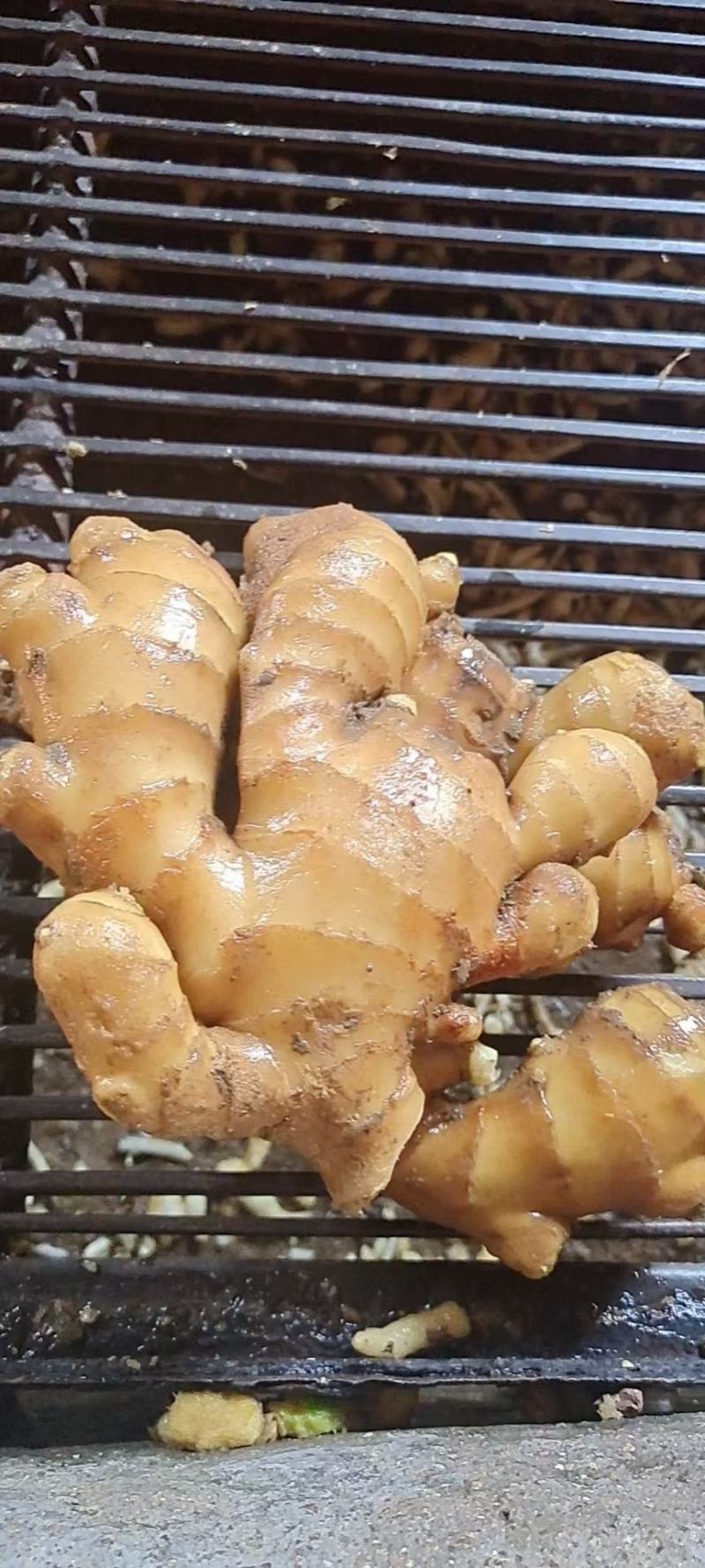 （实力供货）山东红芽仔姜生姜供应货源充足，基地直发