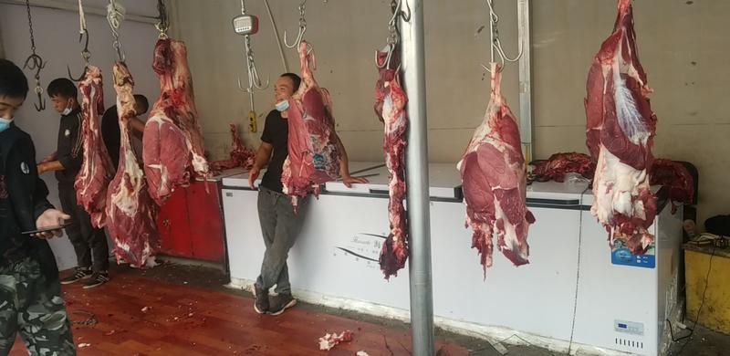 新疆库车农美农产品贸易有限公司产品羊肉，牛肉
