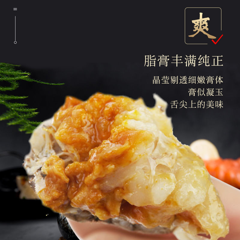 【超值全母盘锦大闸蟹鲜活现货特大螃蟹全母海鲜礼盒装冷