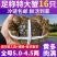 【超值全母盘锦大闸蟹鲜活现货特大螃蟹全母海鲜礼盒装冷