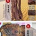 阿拉善野生肉苁蓉油苁蓉软大芸切片整枝男性泡酒料内蒙古正品