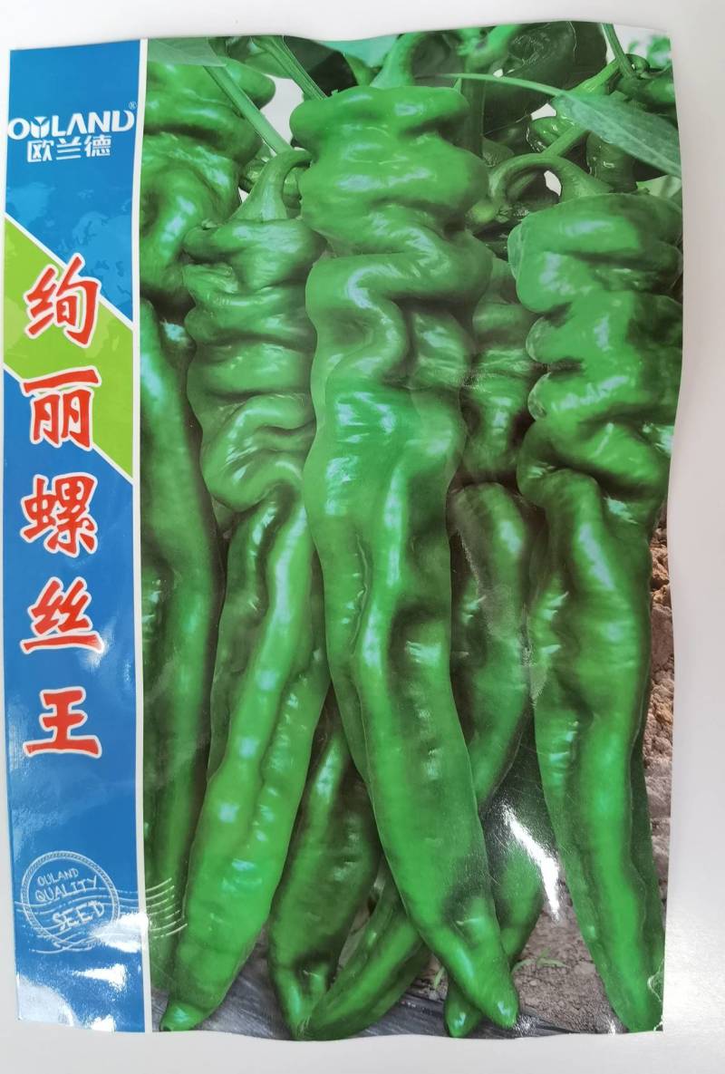 高品质！螺丝椒种子皮薄肉厚耐热耐低温陇椒辣椒种子基地