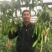 高品质！螺丝椒种子皮薄肉厚耐热耐低温陇椒辣椒种子基地