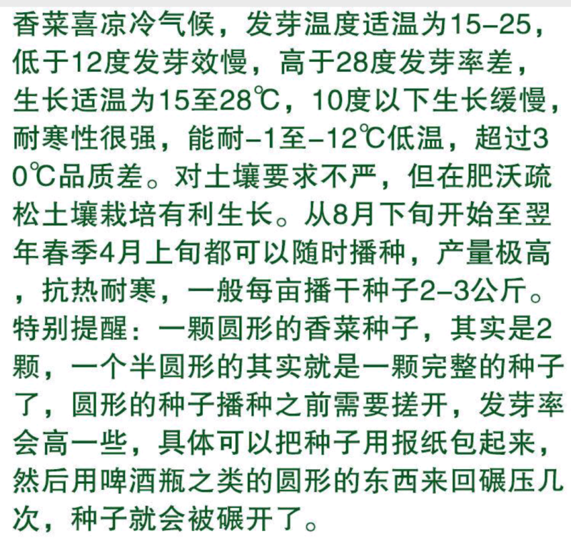 【香菜种】澳洲纯正大香油叶耐热耐寒四季可播种高产优质种子