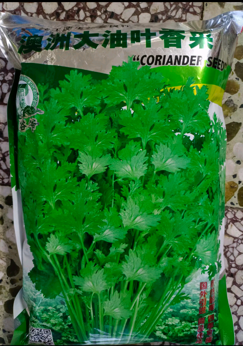【香菜种】澳洲纯正大香油叶耐热耐寒四季可播种高产优质种子