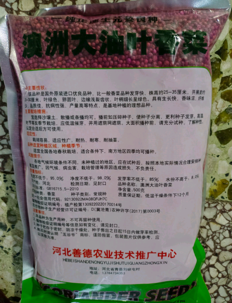 【香菜种】澳洲纯正大香油叶耐热耐寒四季可播种高产优质种子