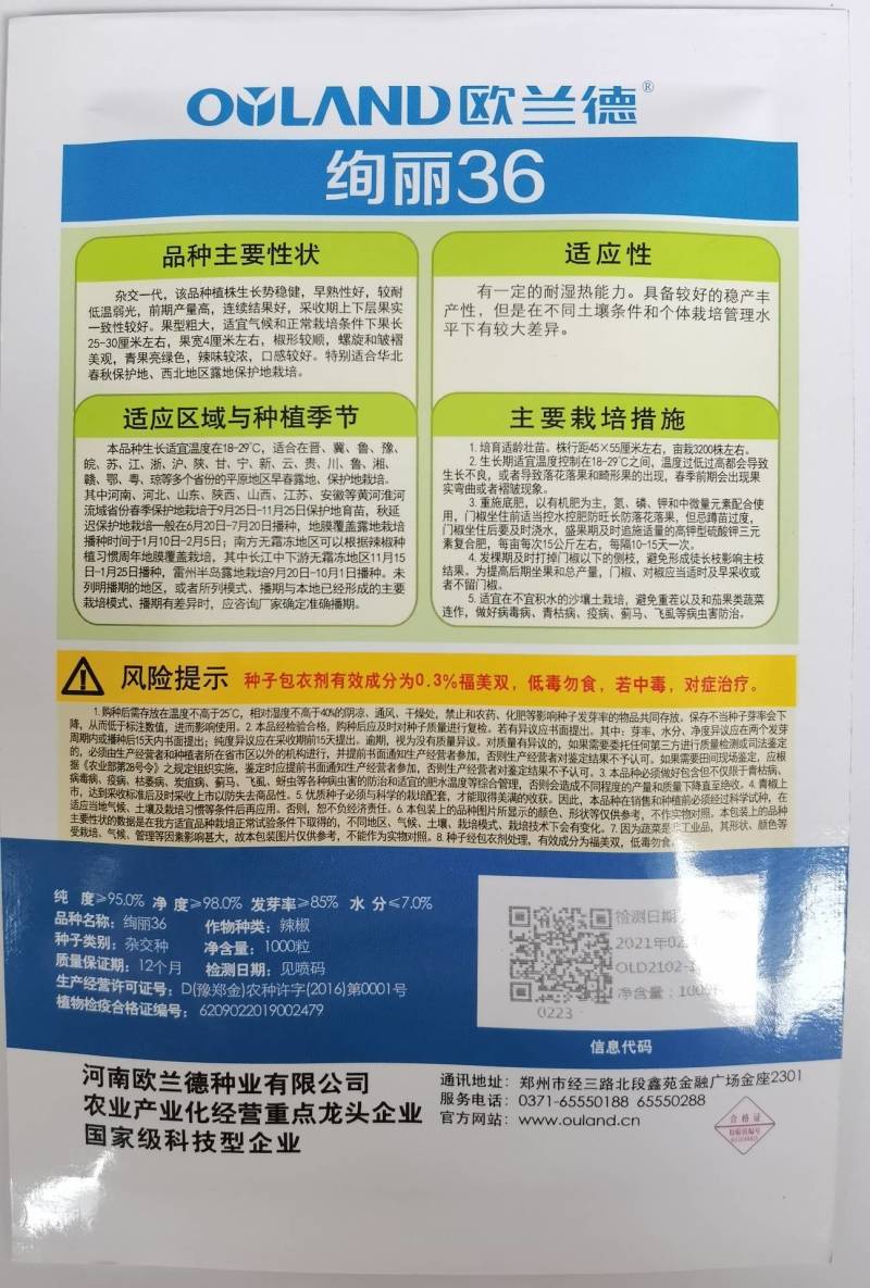 高品质！绚丽36螺丝椒种子陇椒种子早熟高产辣椒种基地